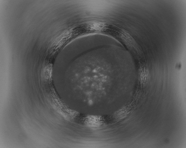 X0000112000328200909141107