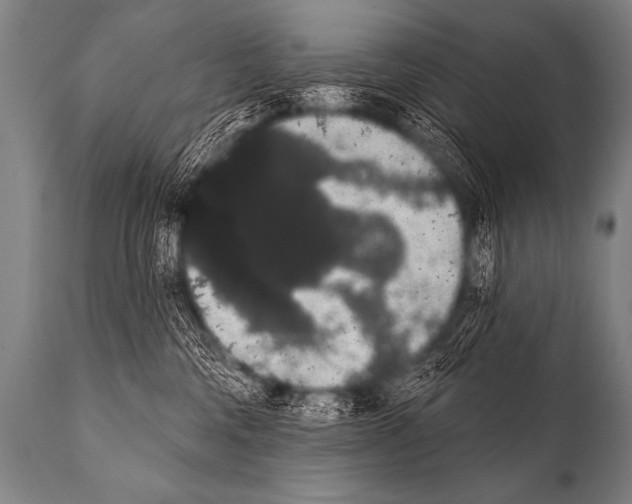 X0000112000330200909141107