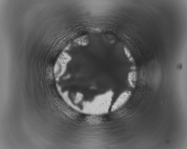 X0000112000331200909141107