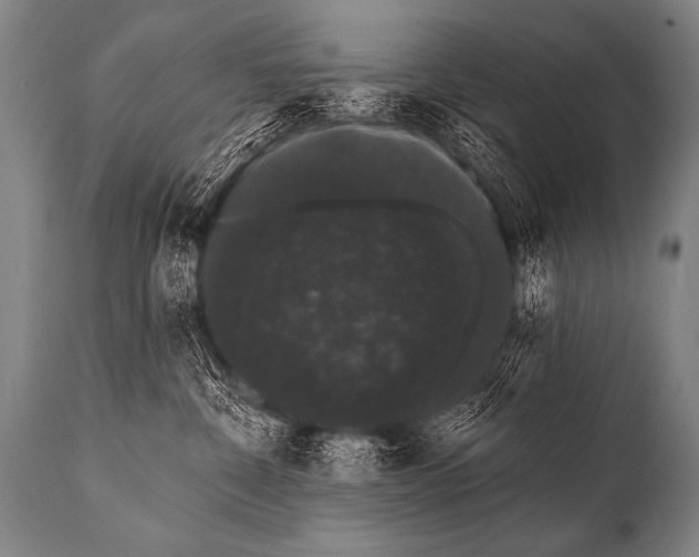 X0000112000332200909141107