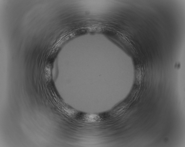 X0000112000333200909141107