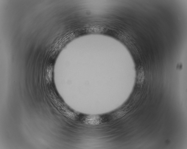 X0000112000334200909141107