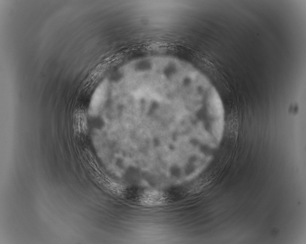 X0000112000335200909141107