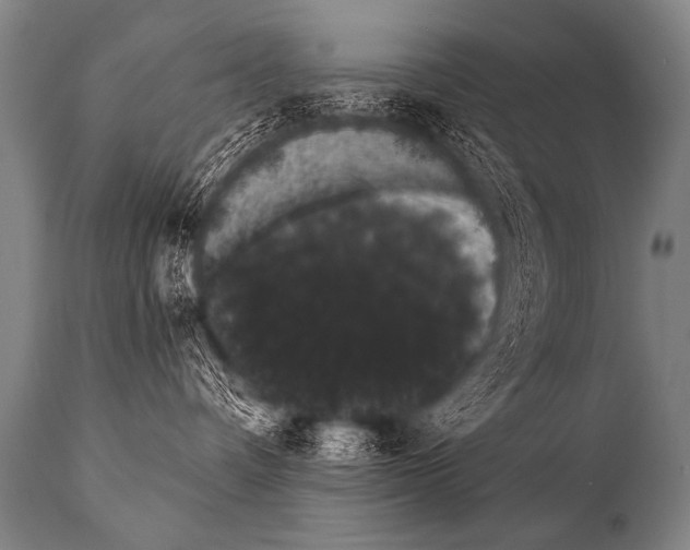 X0000112000336200909141107