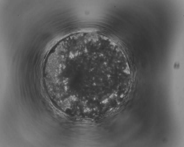 X0000112000337200909141107