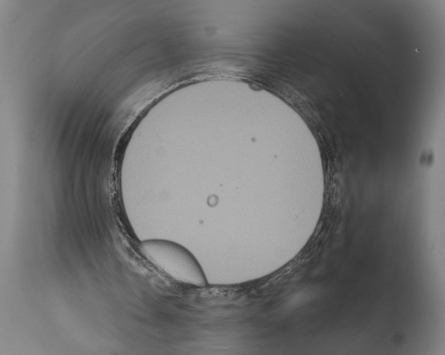 X0000112000338200909141107