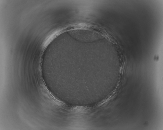 X0000112000341200909141107