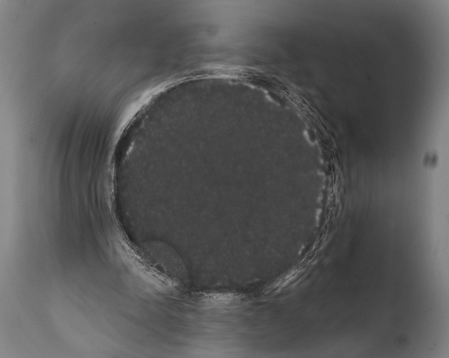 X0000112000342200909141107