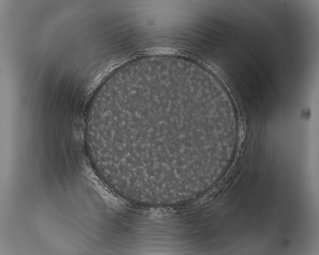 X0000112000345200909141107