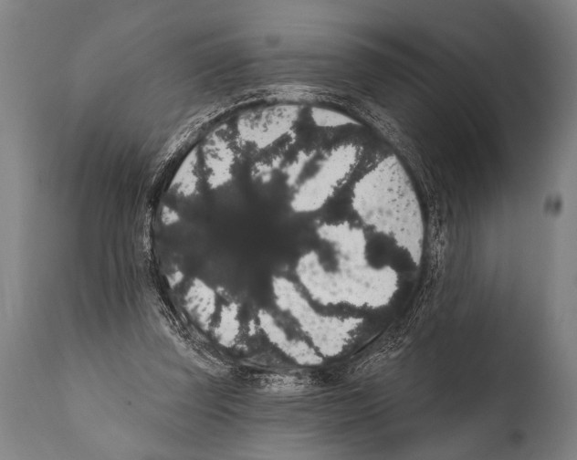 X0000112000347200909141107