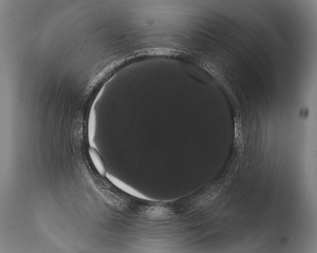 X0000112000348200909141107