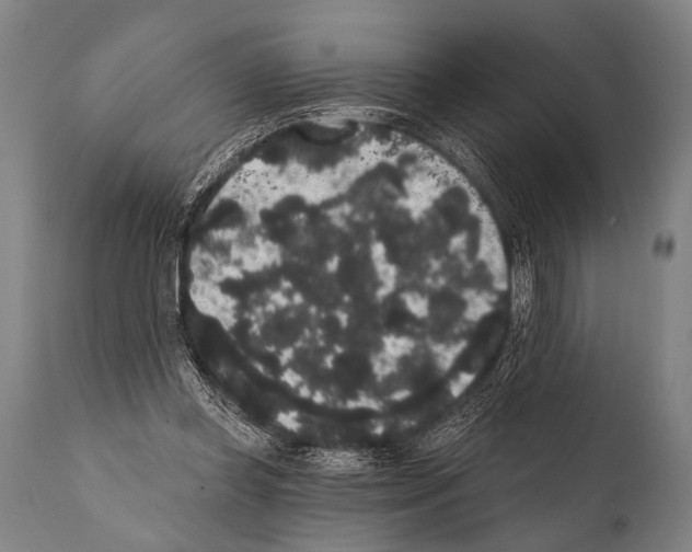 X0000112000349200909141107