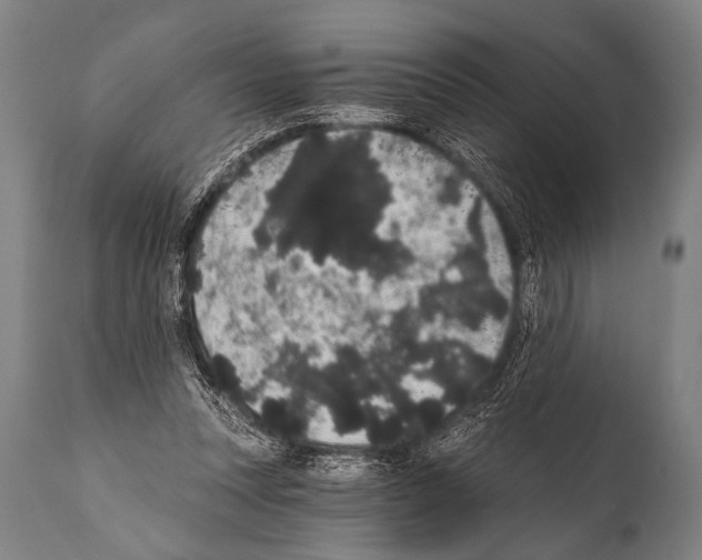 X0000112000351200909141107