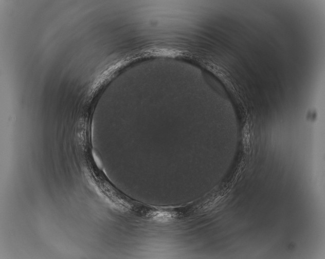 X0000112000352200909141107