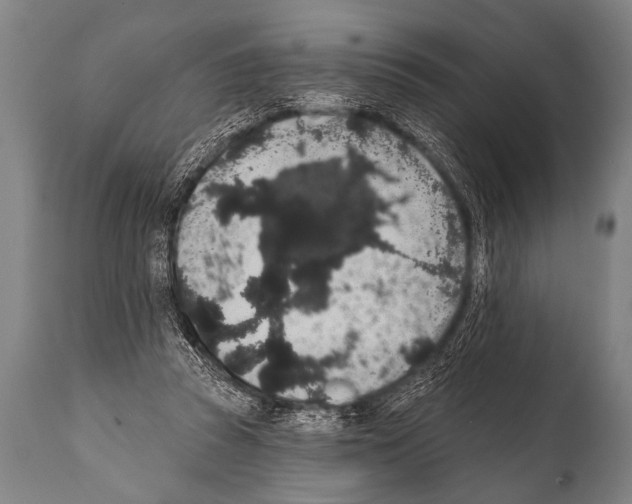 X0000112000353200909141107