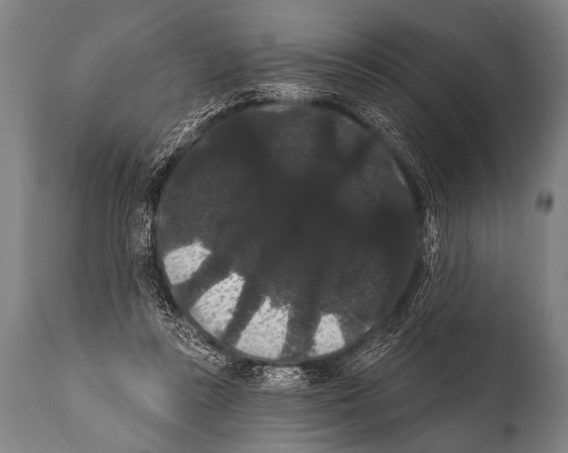 X0000112000355200909141107