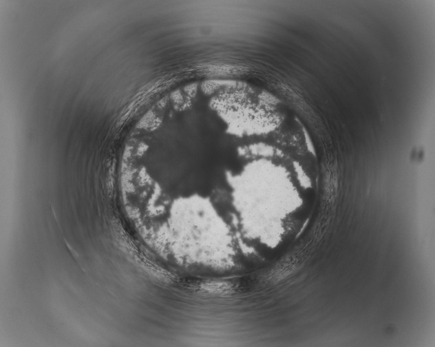 X0000112000357200909141107