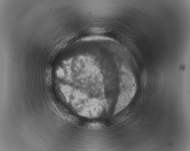 X0000112000360200909141107