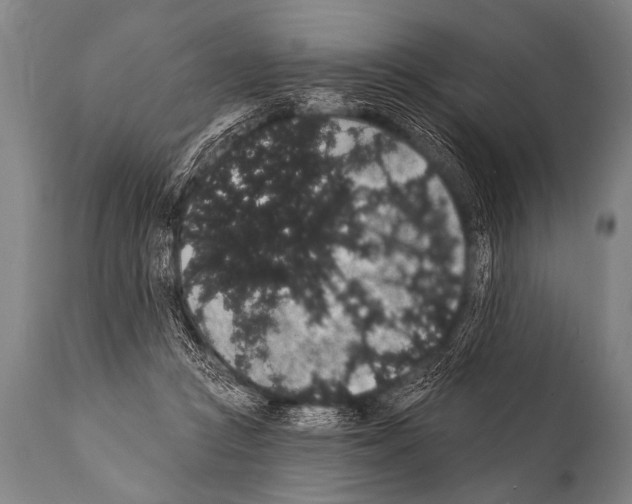 X0000112000361200909141107