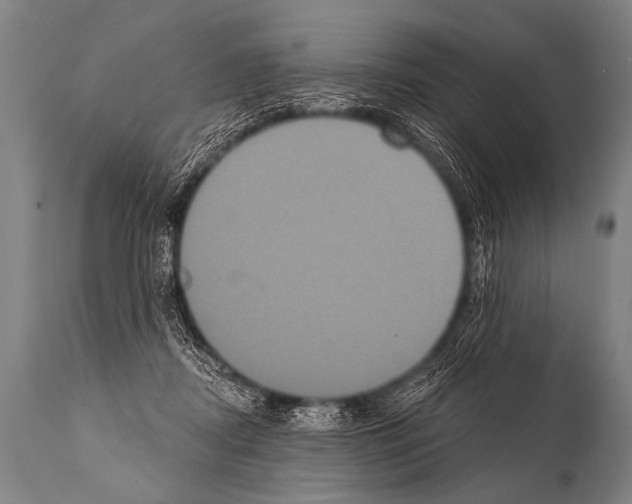 X0000112000362200909141107