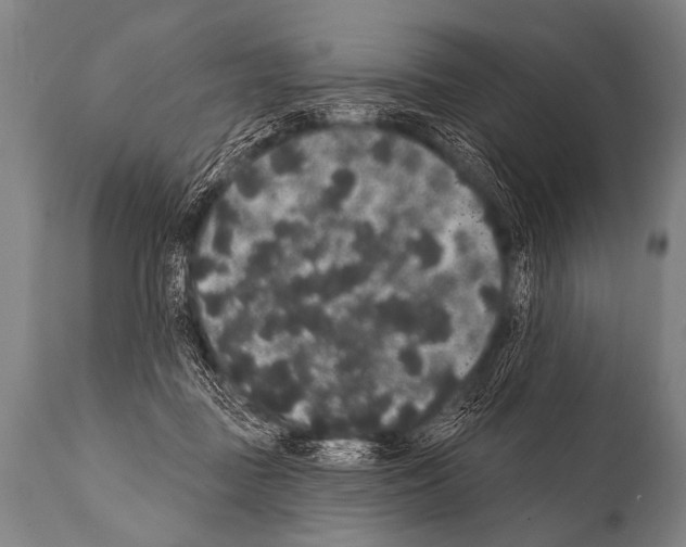 X0000112000363200909141107