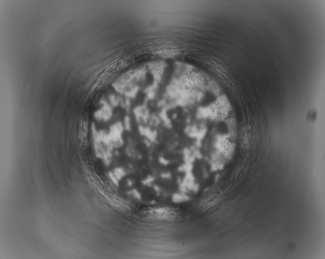 X0000112000365200909141107