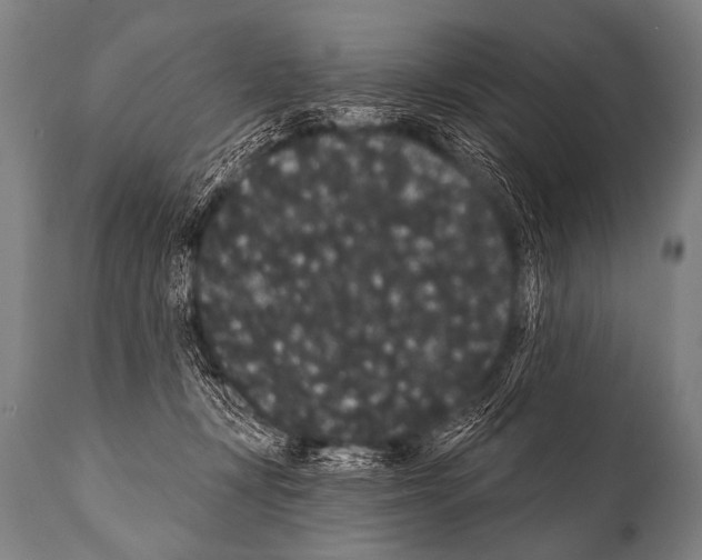 X0000112000367200909141107