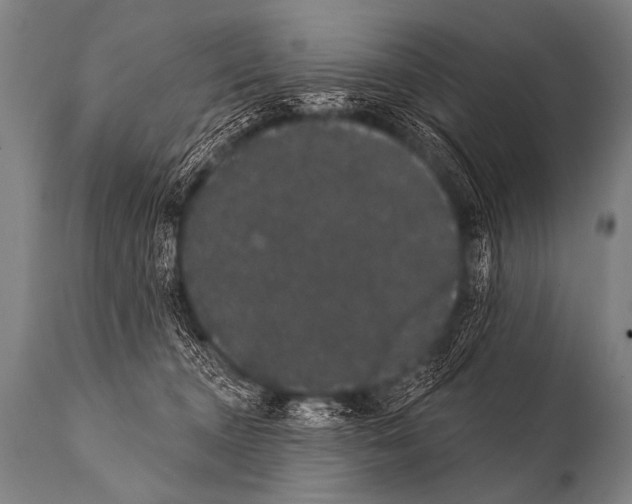 X0000112000372200909141107