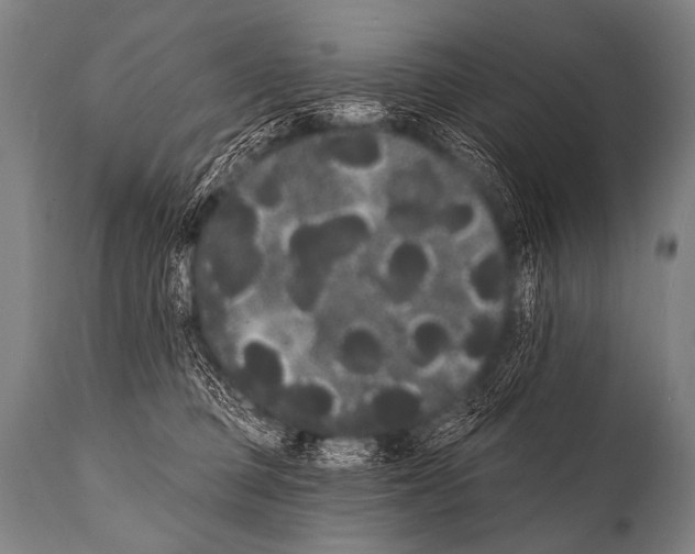 X0000112000373200909141107