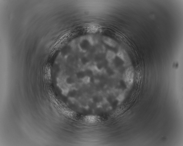 X0000112000375200909141107