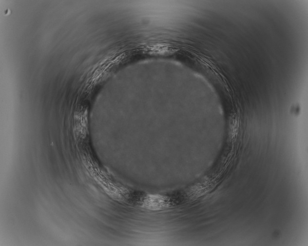 X0000112000376200909141107