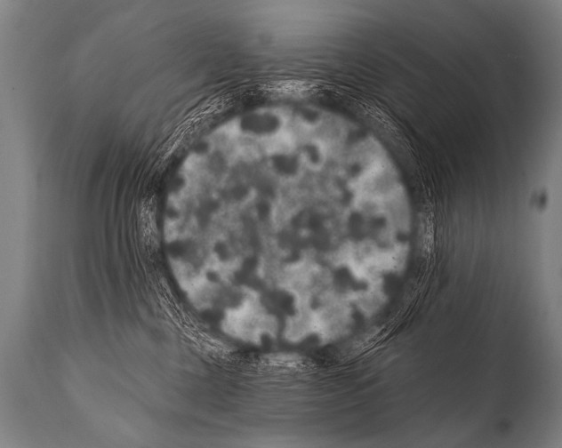 X0000112000377200909141107