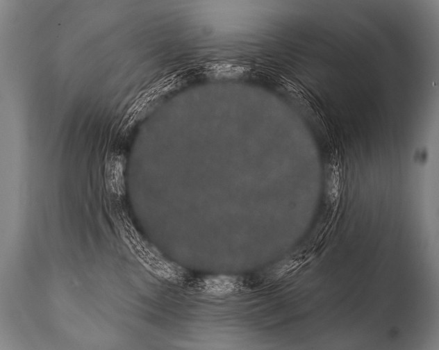 X0000112000378200909141107