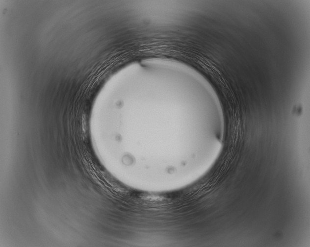 X0000112000380200909141107