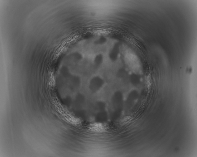 X0000112000381200909141107