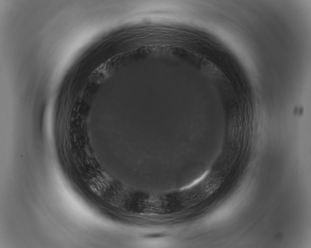 X0000112000383200909141107