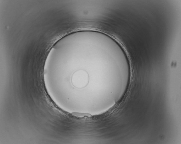 X0000112000385200909141107