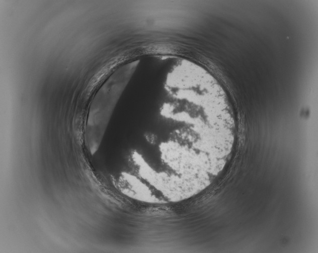 X0000112000386200909141107