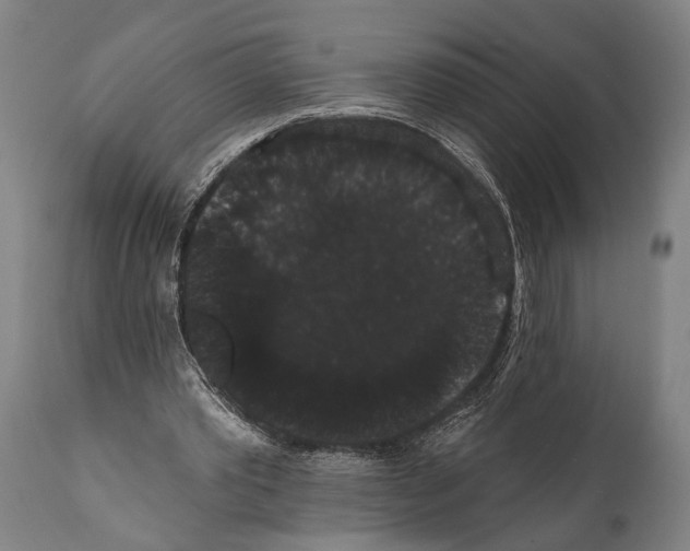 X0000112000389200909141107