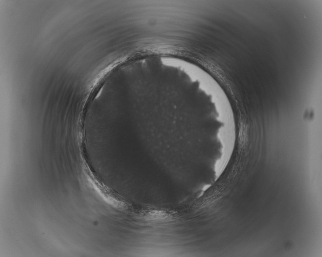 X0000112000390200909141107