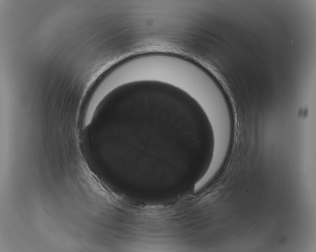 X0000112000391200909141107