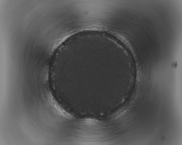 X0000112000393200909141107