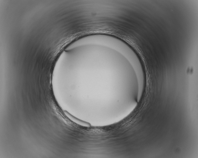 X0000112000397200909141106