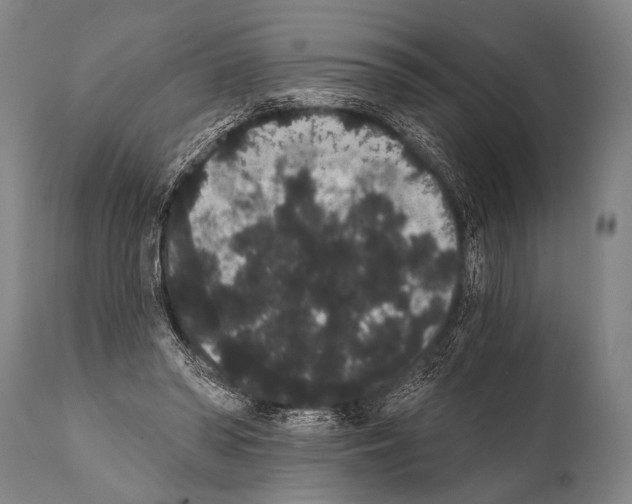 X0000112000398200909141106