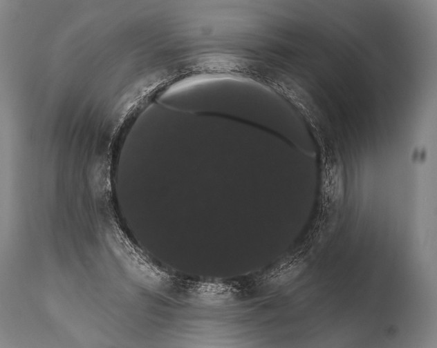 X0000112000399200909141106