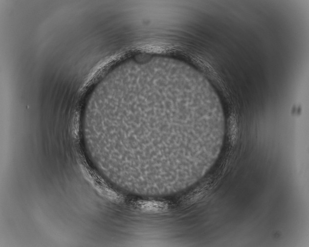 X0000112000400200909141106