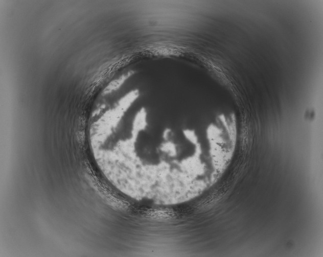 X0000112000402200909141106