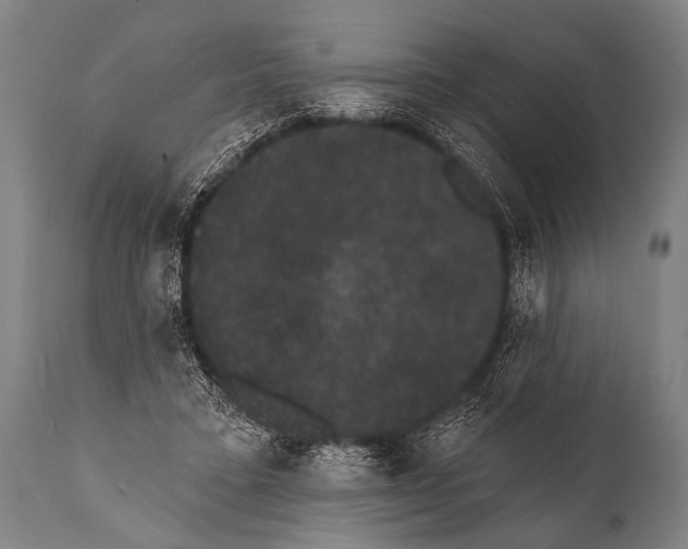 X0000112000403200909141106