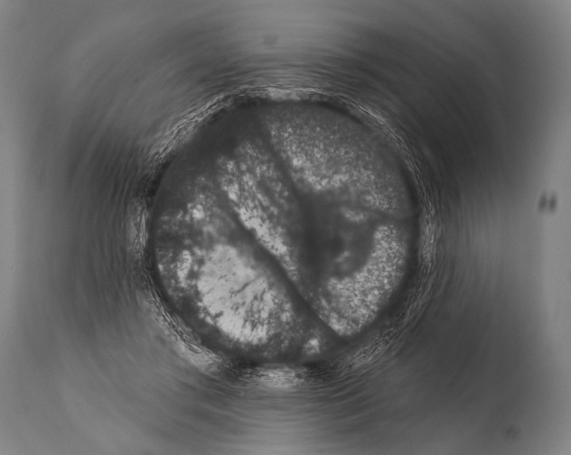 X0000112000405200909141106