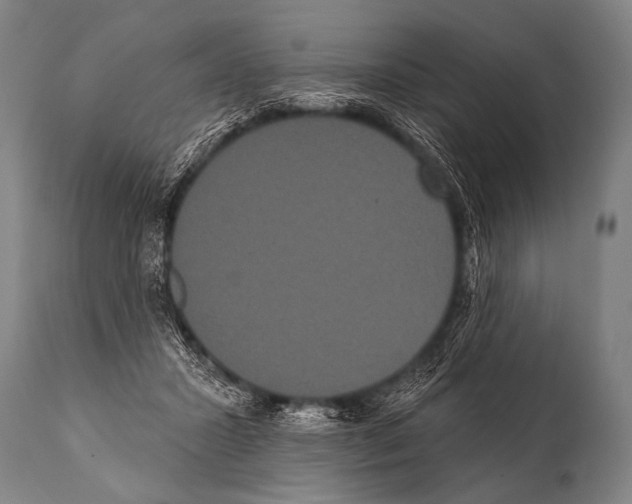 X0000112000407200909141106